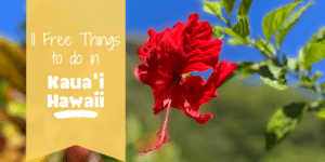 Things to do for Free in Kauai